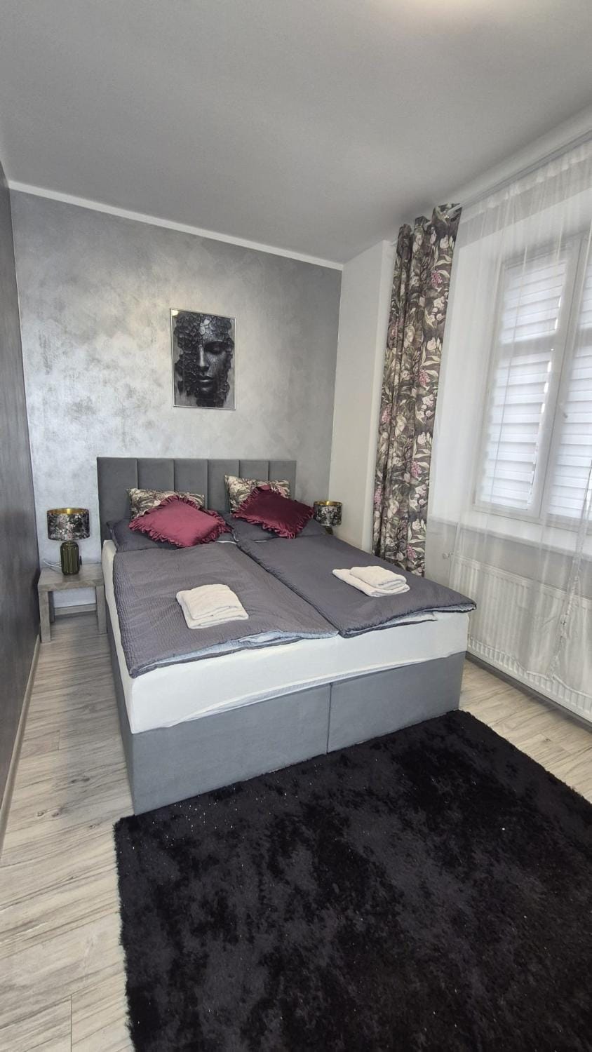 Moderní apartmán v blízkosti centra,Wifi,Netflix Apartment in Czechia