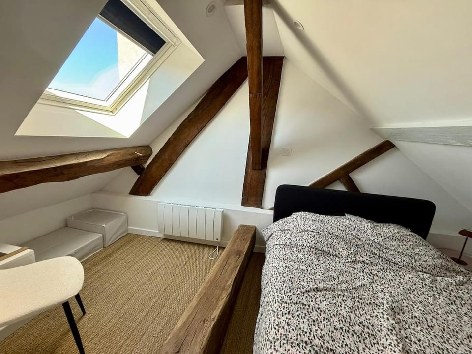 Perfect pied-à-terre in Dijon Apartment in Dijon