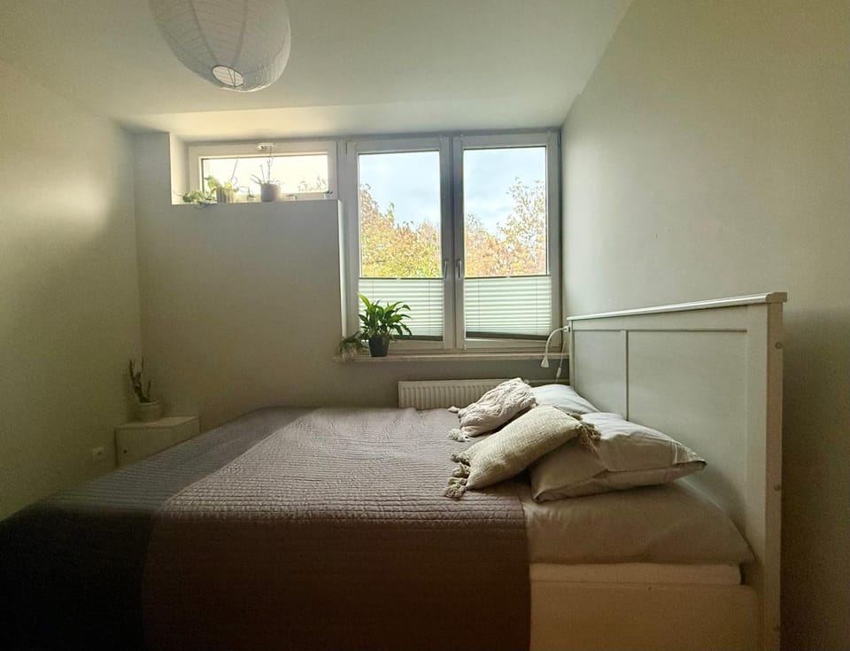 Bed, Photo of the whole room, Seating area, Bedroom