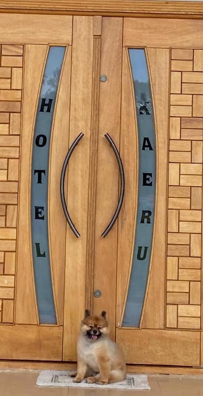 Hotel Kaeru Hotel in State of Paraná