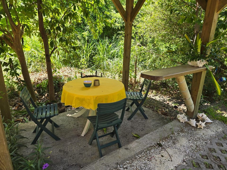 Patio, Garden
