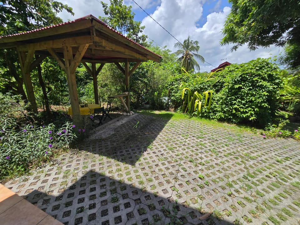 Natural landscape, Garden, Garden, Garden view