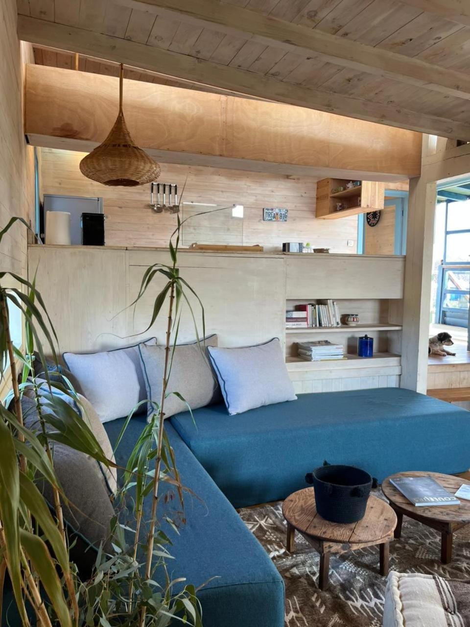 Living room, Seating area, pet friendly