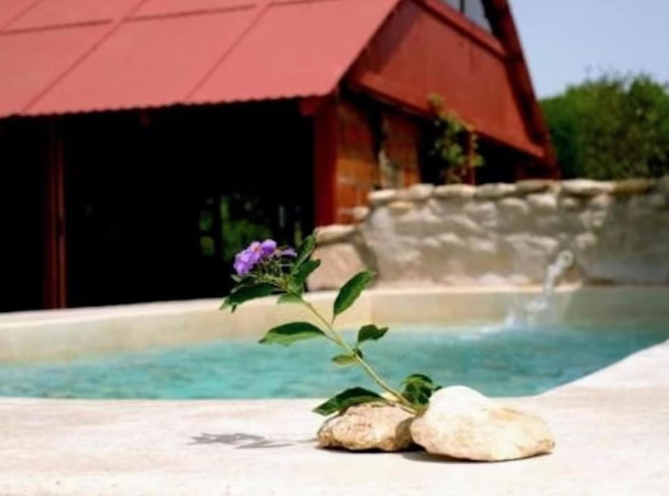 Garden, Swimming pool