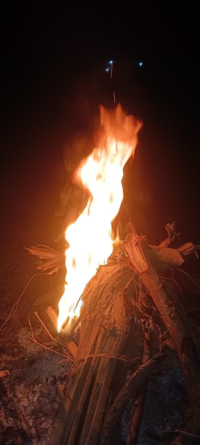 Rann Roshni homestay Farm Stay in Gujarat