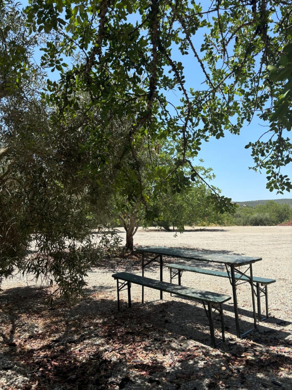 Tiny House Campground/ 
RV Resort in Moncarapacho