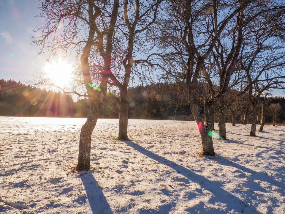 Winter, Hiking, Area and facilities