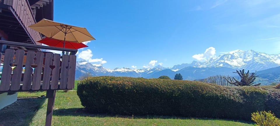 Garden, Mountain view