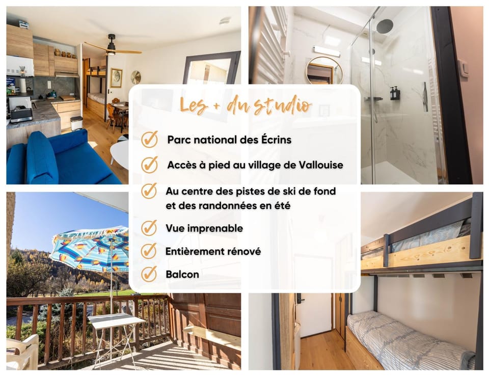 Studio à Vallouise-Pelvoux - Puy Saint Vincent, nature, rando et ski Apartment in Provence-Alpes-Côte d'Azur