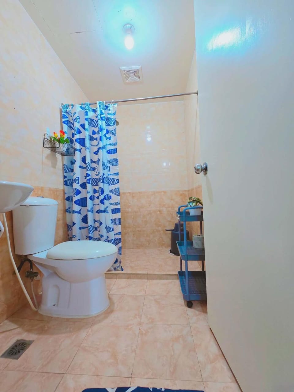 Shower, Toilet, Bathroom, bidet