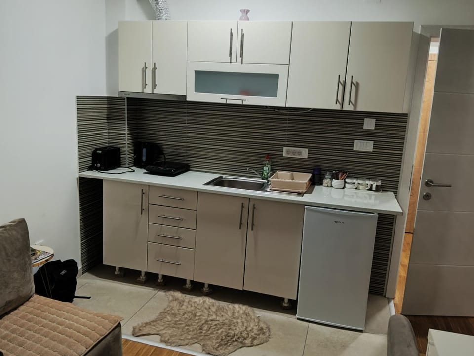 Kitchen or kitchenette, minibar, stove
