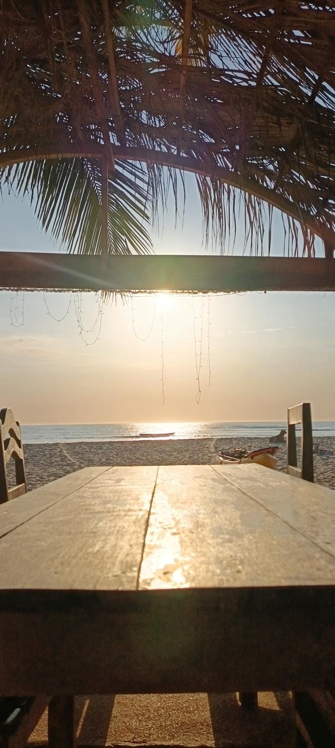 Natural landscape, Beach, Sunset