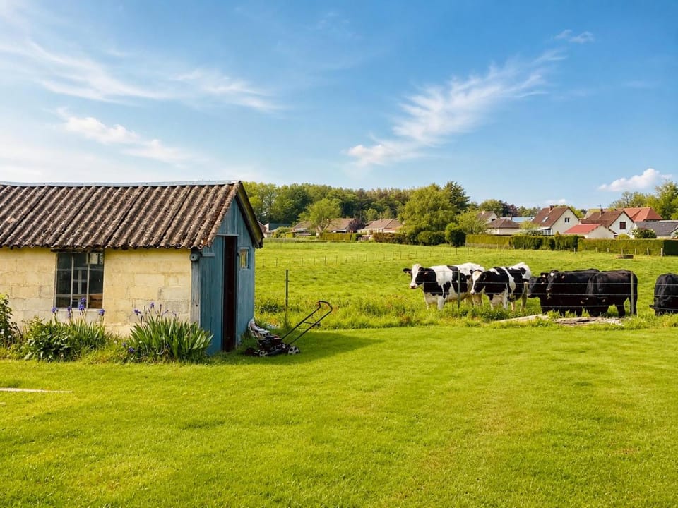 Spring, Day, Natural landscape, Garden, Garden view
