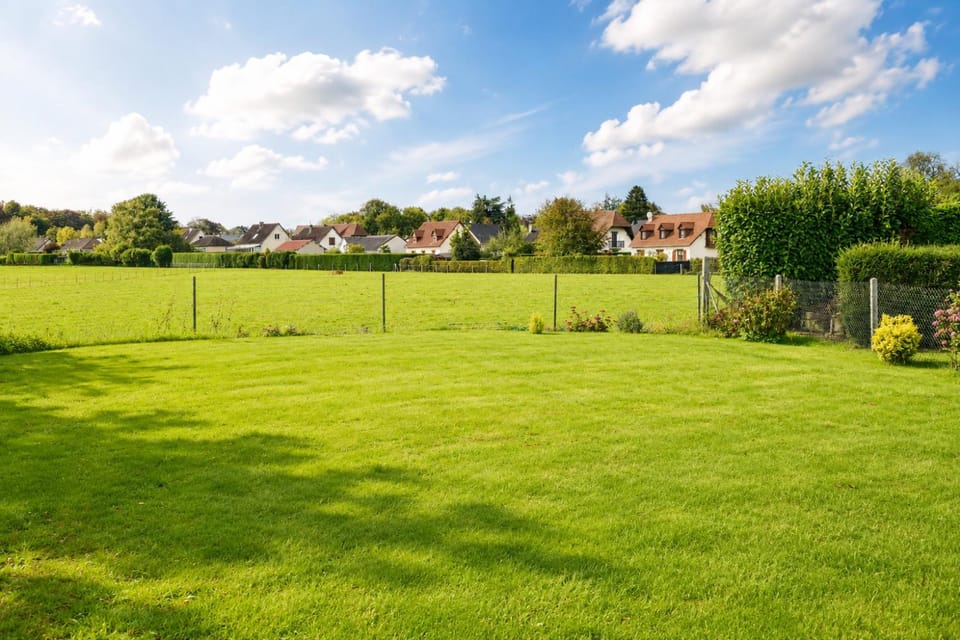 Spring, Day, Natural landscape, Garden, Garden view