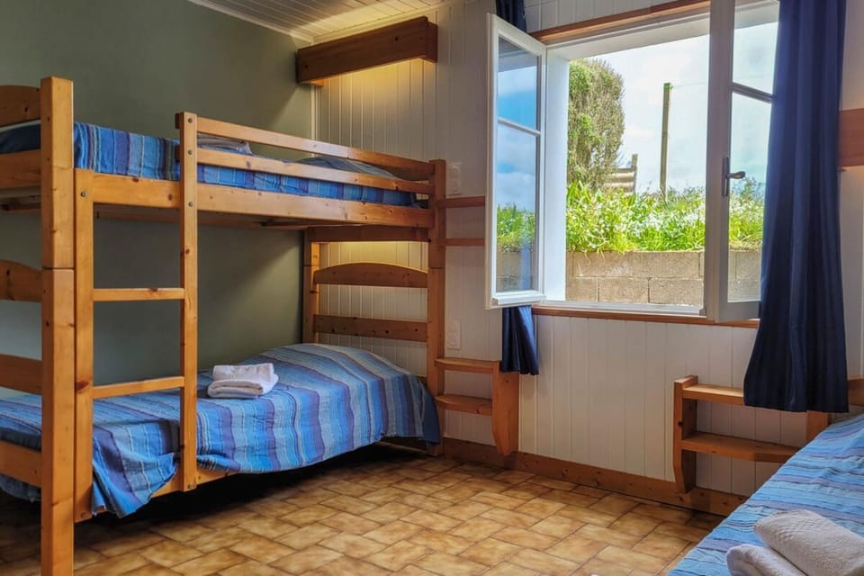 Bed, Photo of the whole room, Bedroom, bunk bed