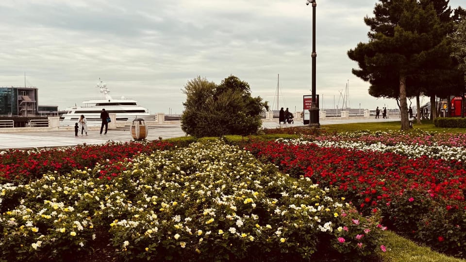 Garden, Garden view, Sea view