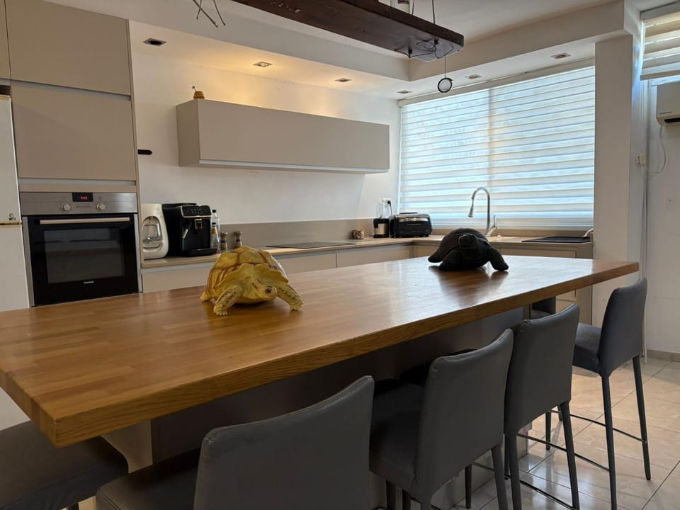 חלךם Apartment in Haifa