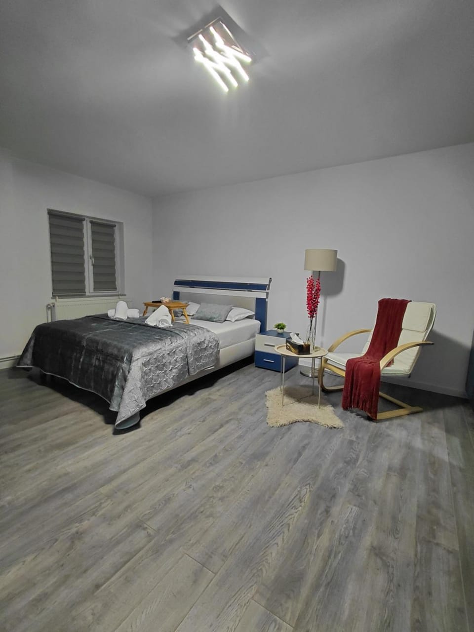 Garsoniera Mihaela Apartment in Craiova