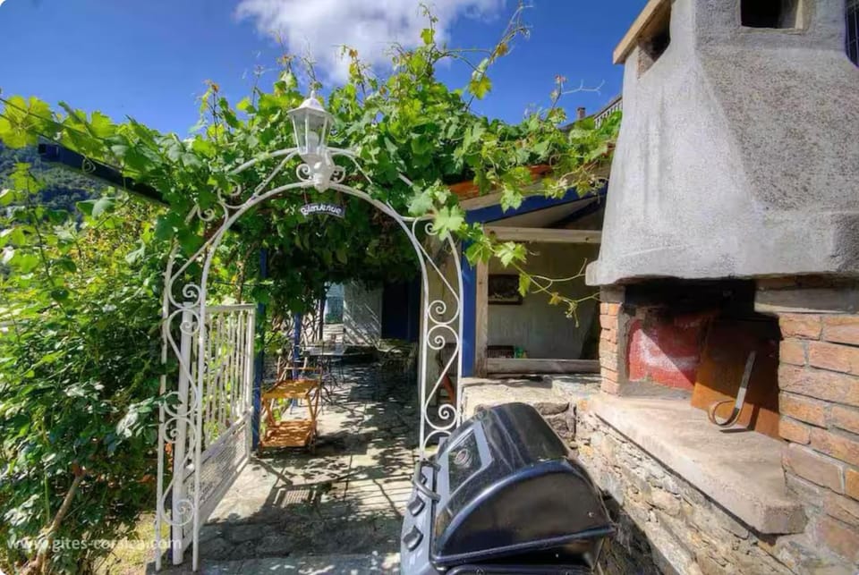 Patio, Garden, sunbed
