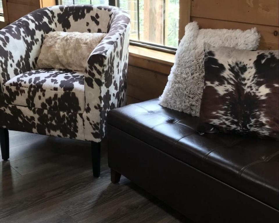 Lil cozy cabin with hot tub, relax and unwind! Cabin in Sevier County