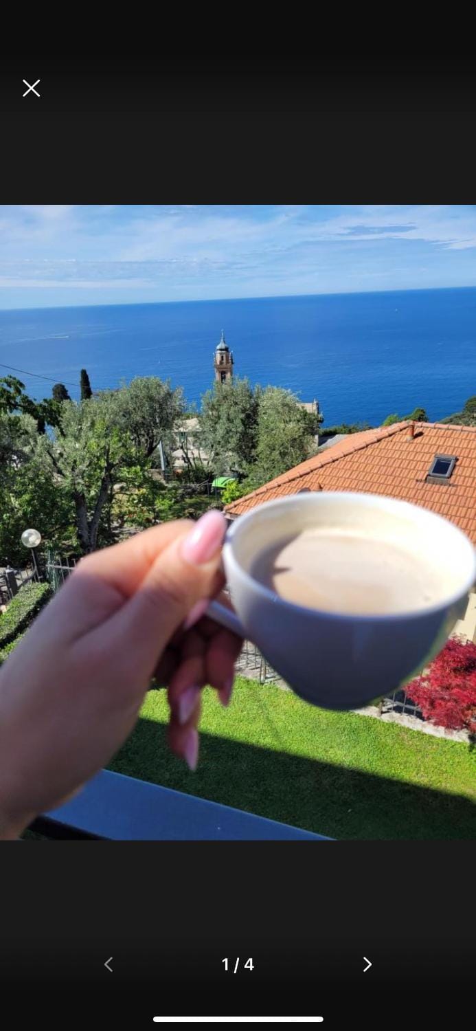 Il Gabbiano Di Pieve Bed and Breakfast in Liguria