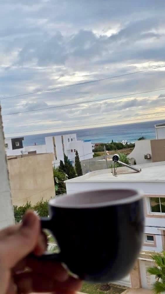 Dar zoghlami Apartment in Tunisia