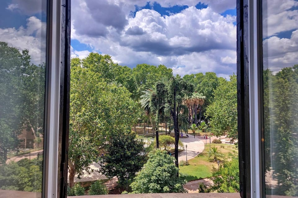View (from property/room)