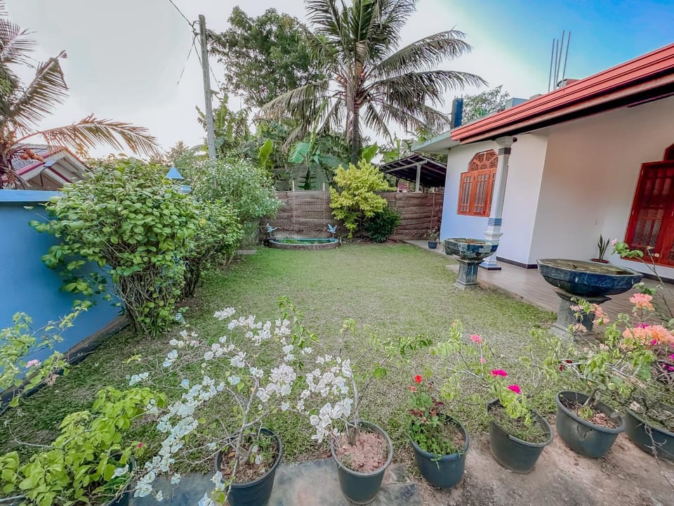 Property building, Garden, Garden view