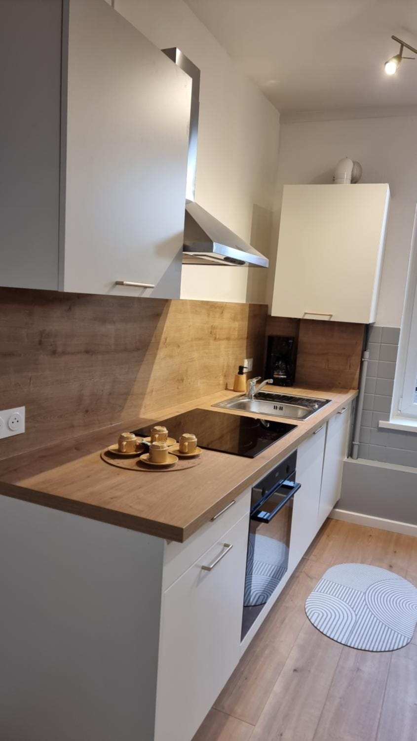 Au Grand Coeur Messin T4 chaleureux entièrement rénové Apartment in Metz