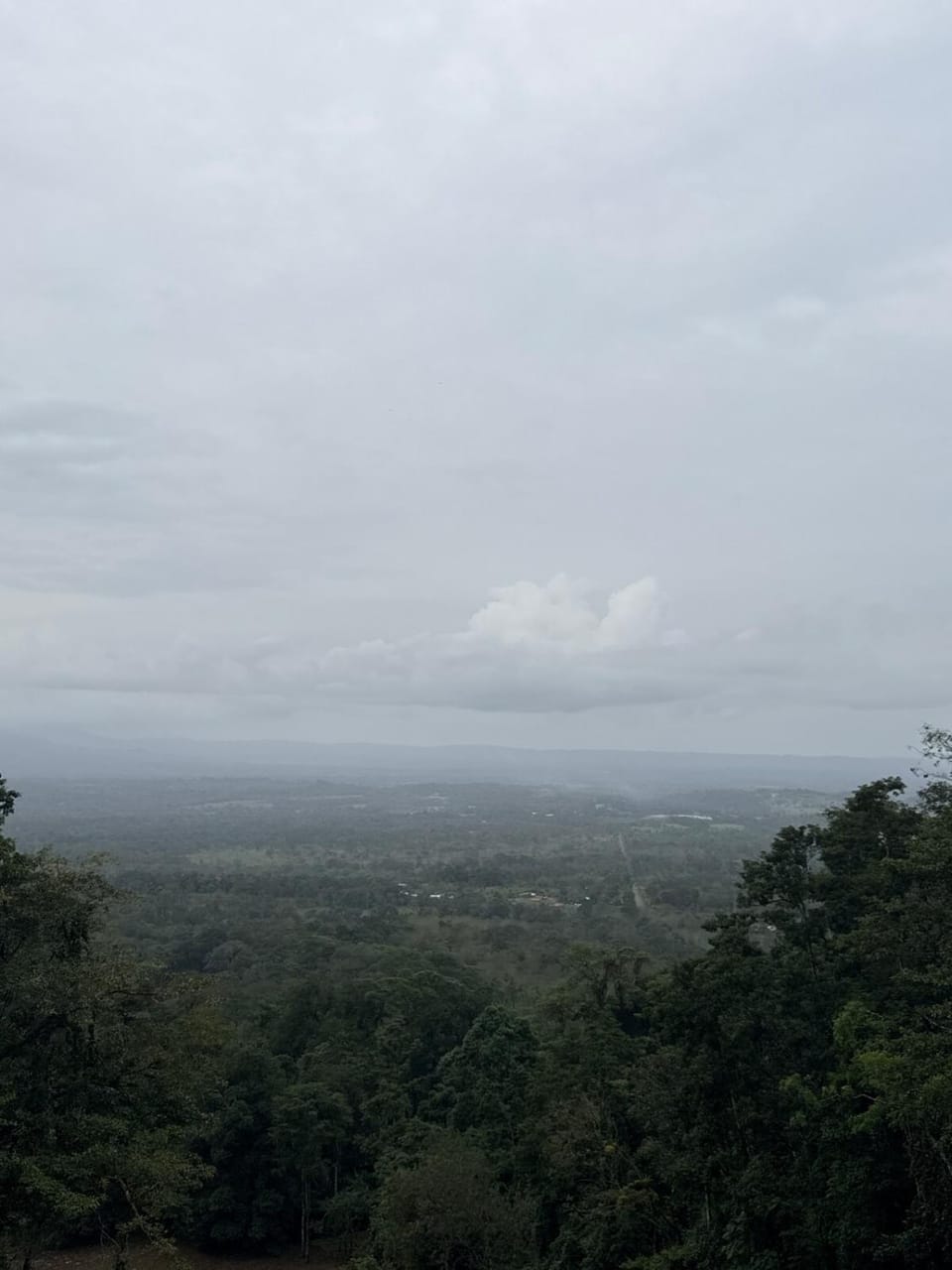 Natural landscape
