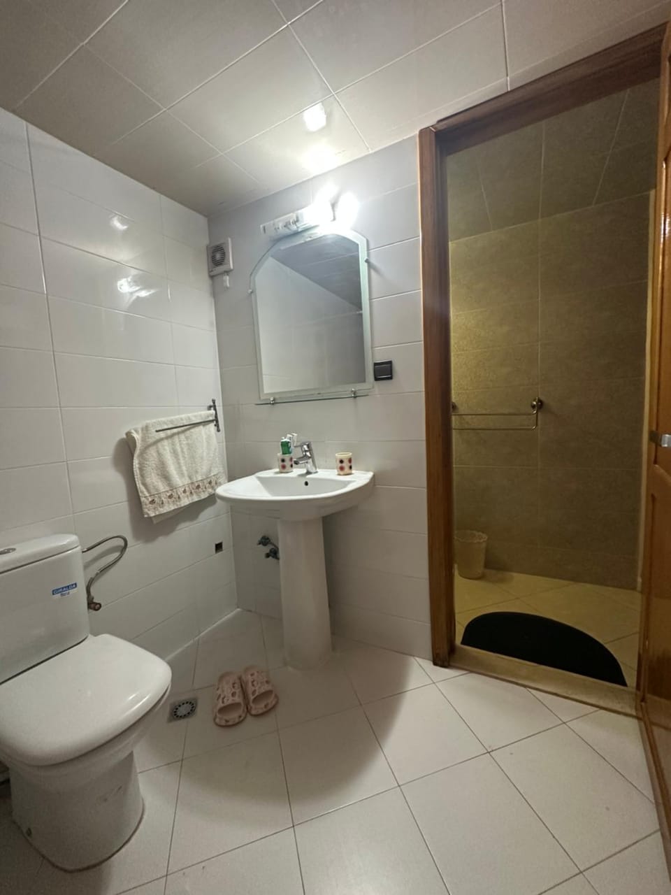 Bathroom, bidet