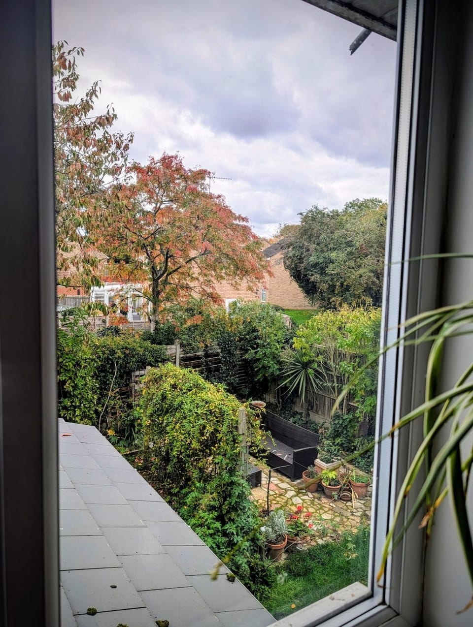 Garden view