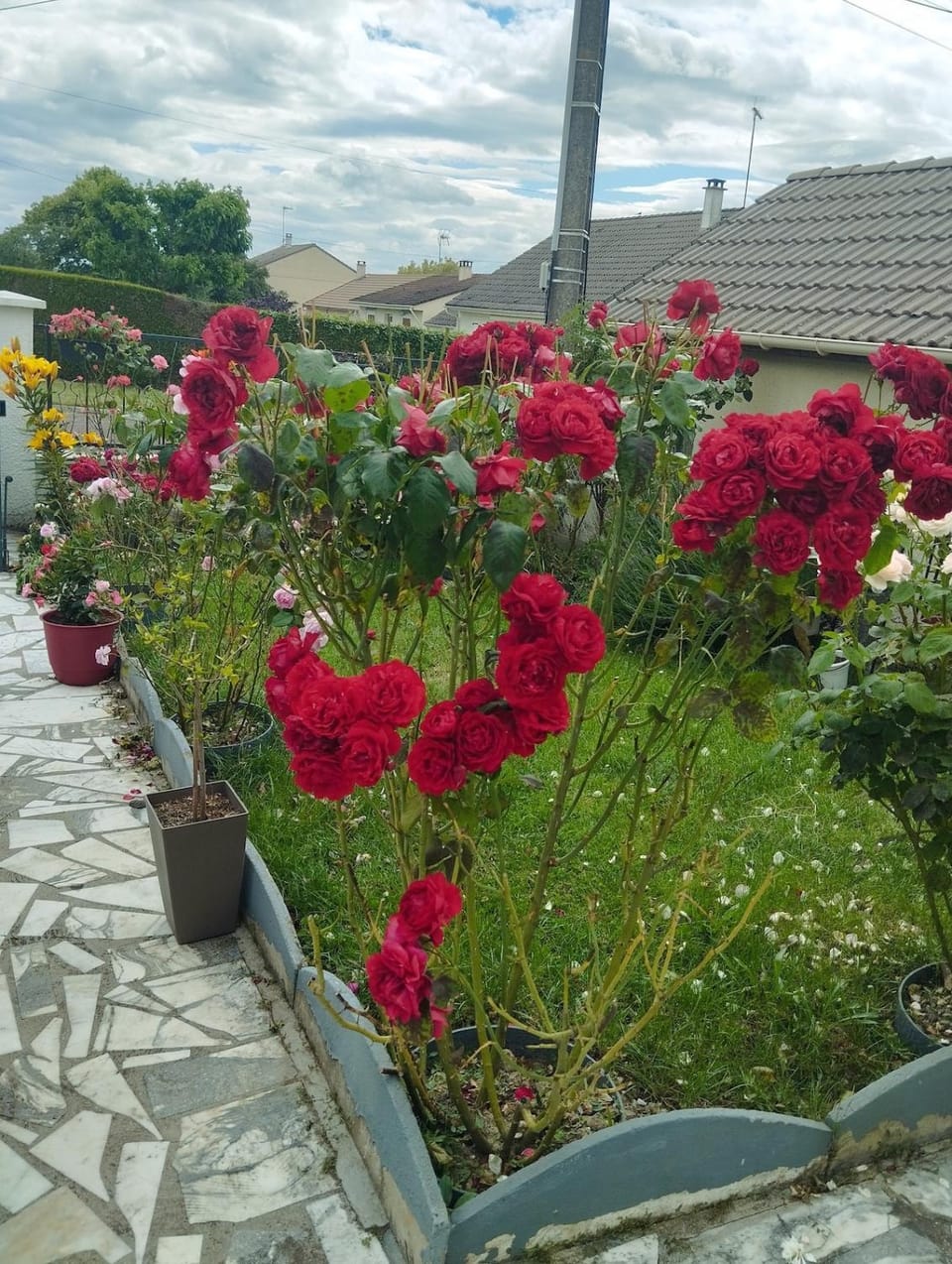 Nice apartment 1 hour from Paris and 45 minutes from Orléans Apartment in Centre-Val de Loire