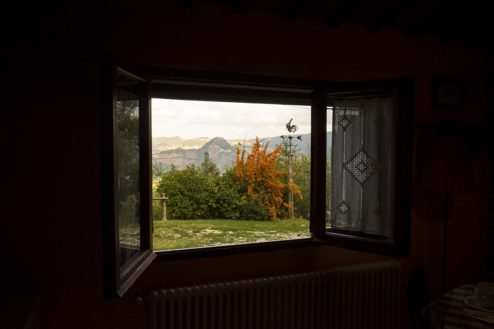 Mountain view