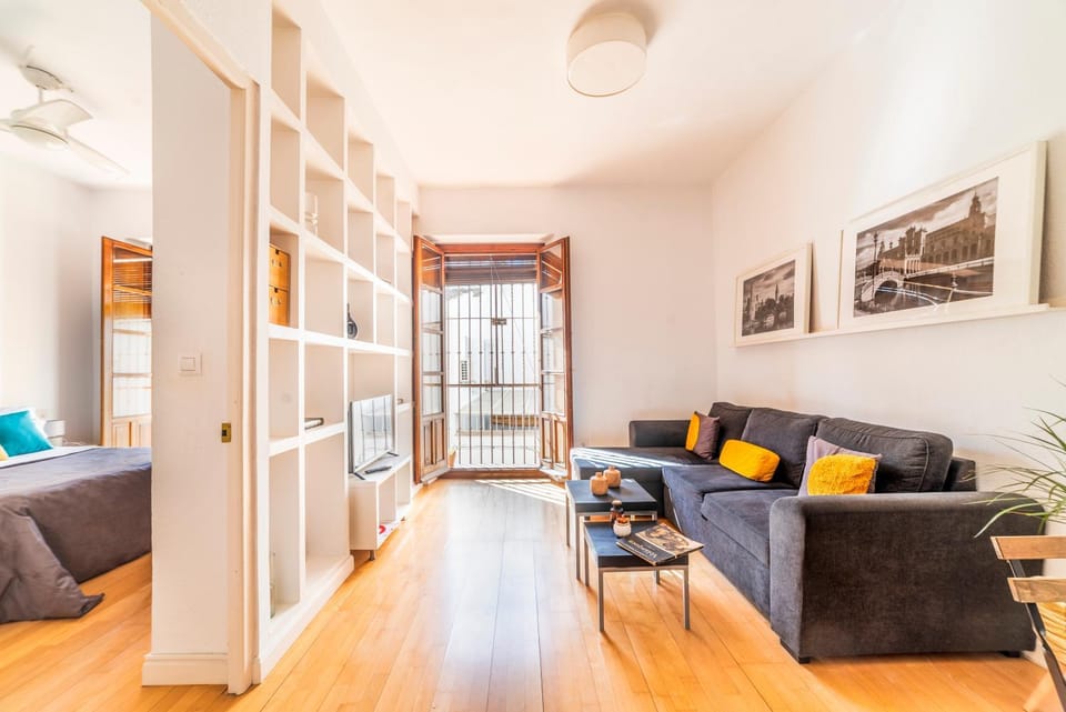 Charming apartment in downtown Seville Apartment in Seville