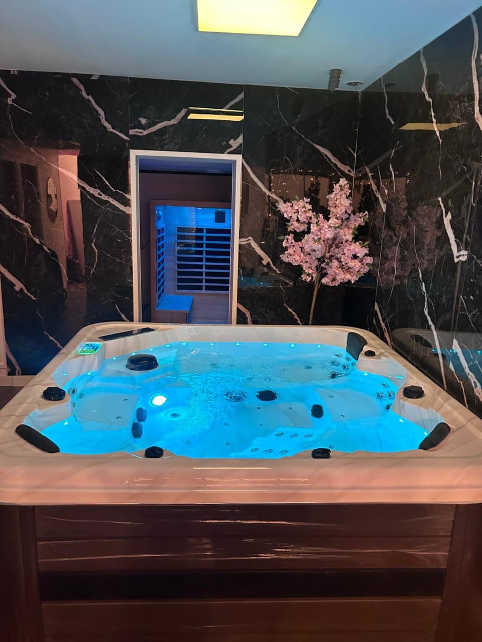 Spa and wellness centre/facilities