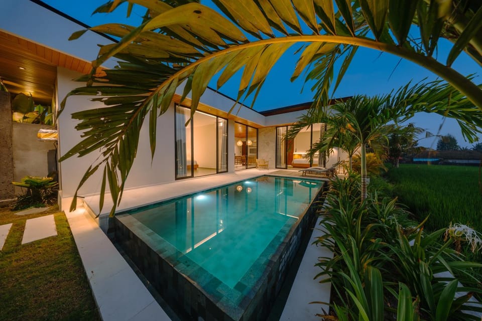 Night, Swimming pool