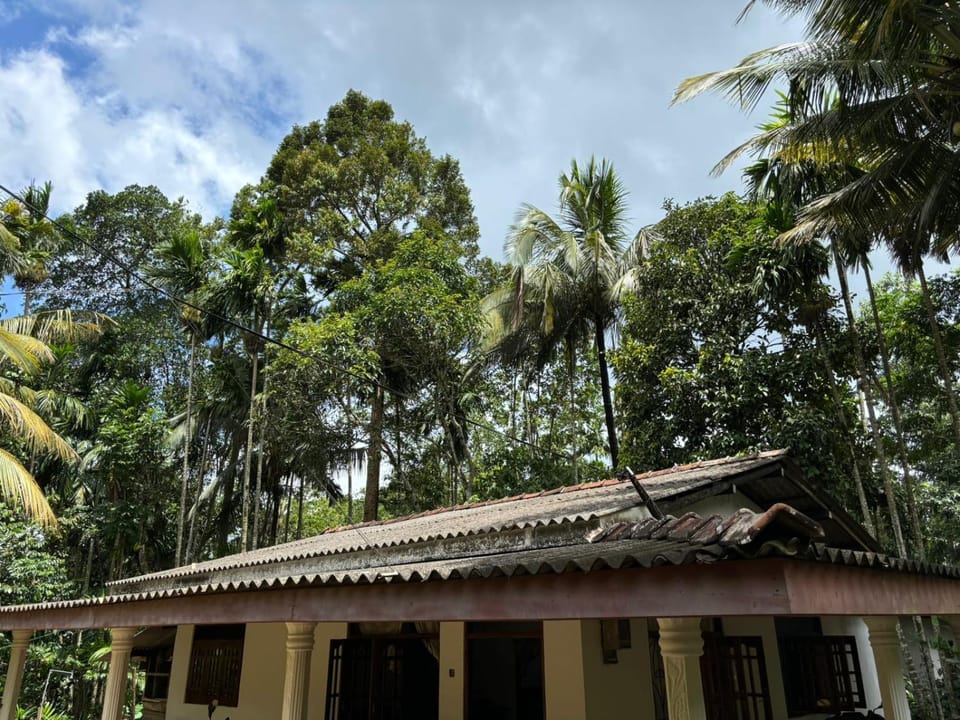 Property building, Natural landscape, Garden, Garden view