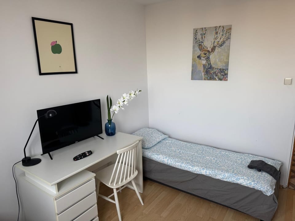 TV and multimedia, Photo of the whole room