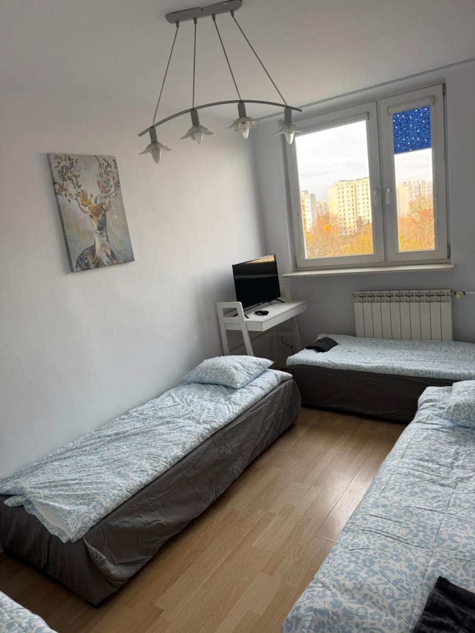 Bed, TV and multimedia, Photo of the whole room