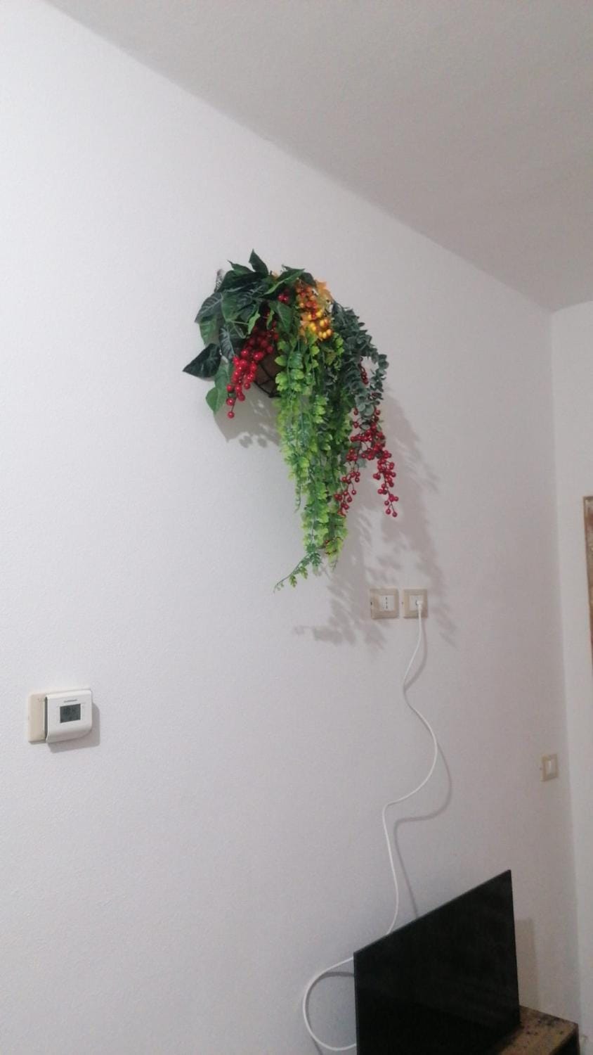 Guest House Vecchia Tranvia House in Pisa