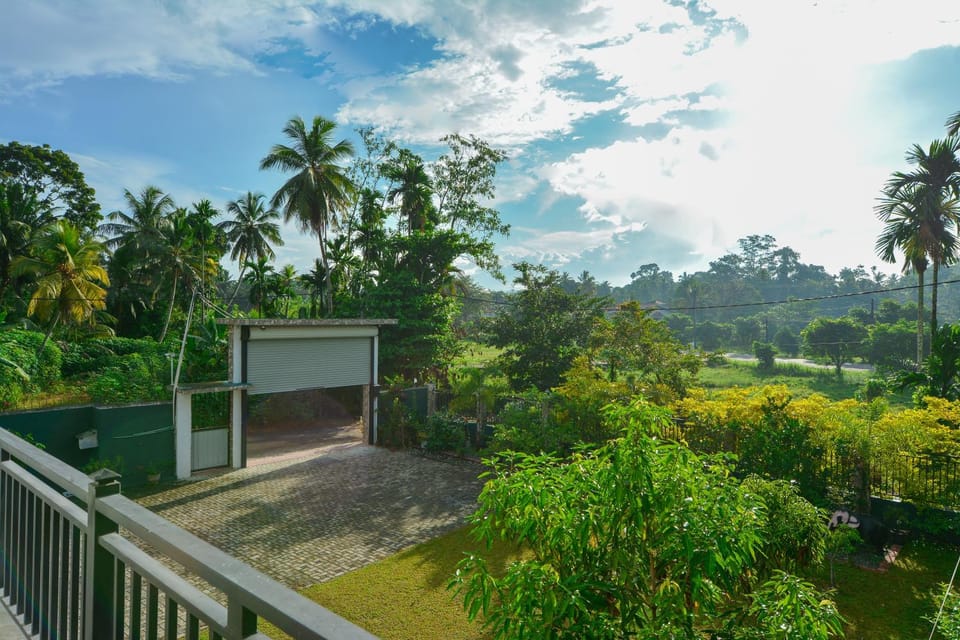 Natural landscape, Garden, Garden view