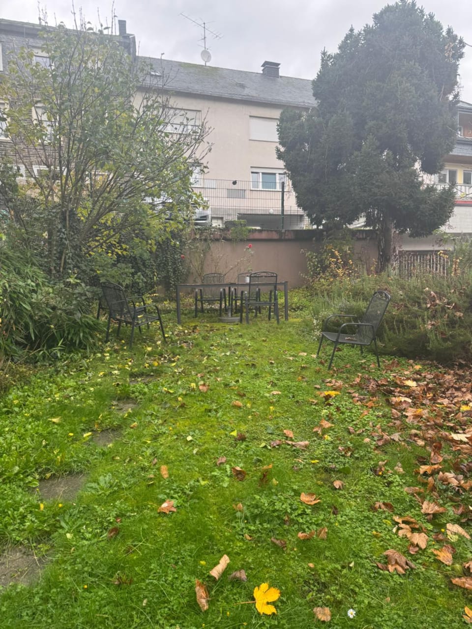 Agatha Apartment mit Terrasse Apartment in Graach an der Mosel