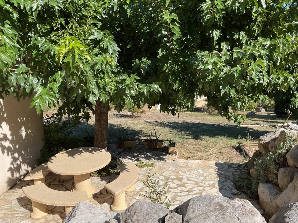 Garden view