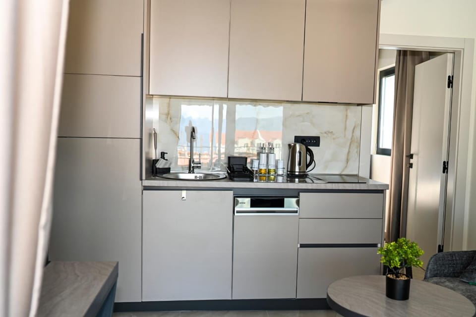 Kitchen or kitchenette, dishwasher, stove