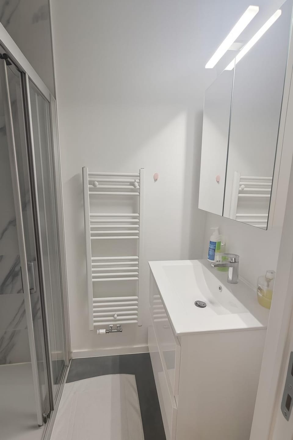 Cozy Brabanconne apartment Apartment in Brussels