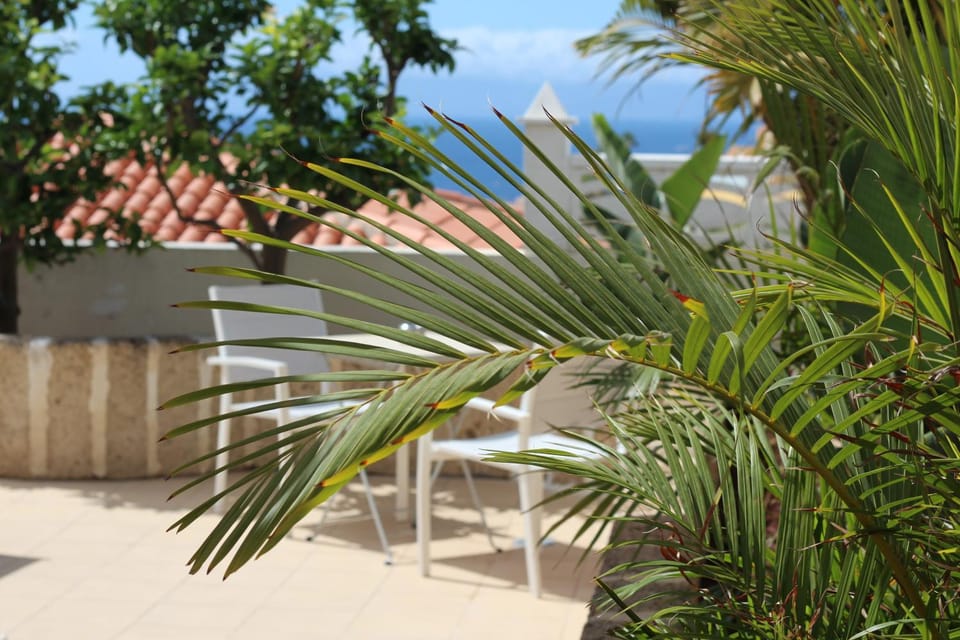 Natural landscape, Garden, Garden view, Sea view