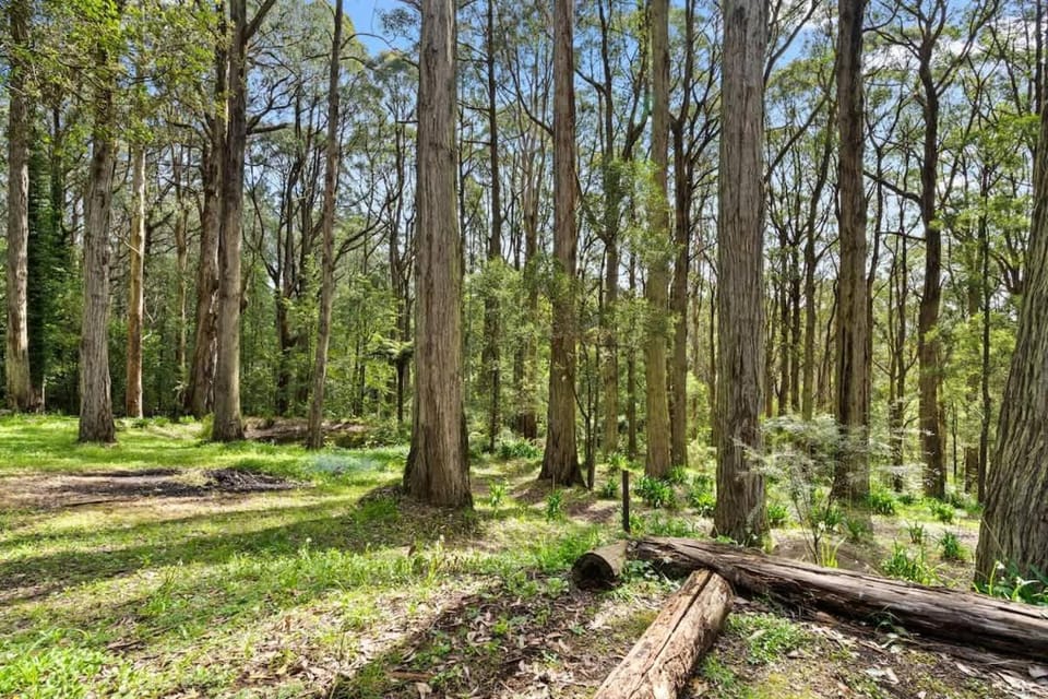 Tranquill 4BR Retreat House in Melbourne