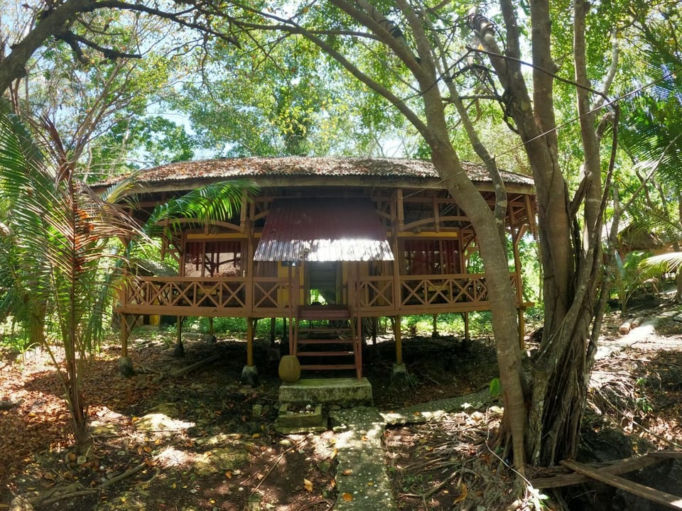 Hoga Island Dive Resort Resort in Indonesia