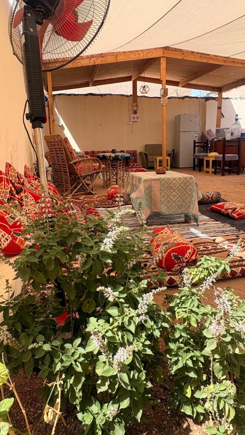 Patio, Garden, Living room, Seating area, Dining area